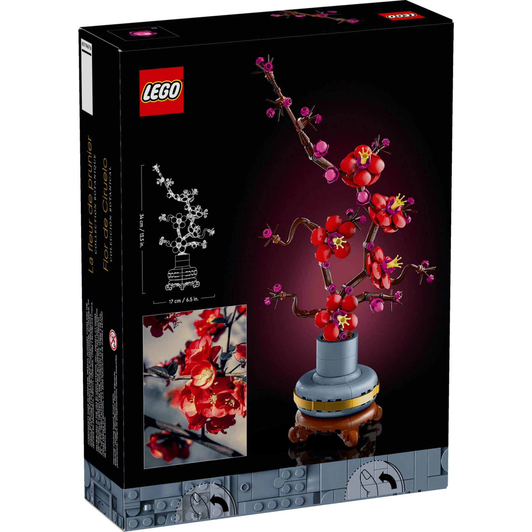 Icons - Flor de ameixa